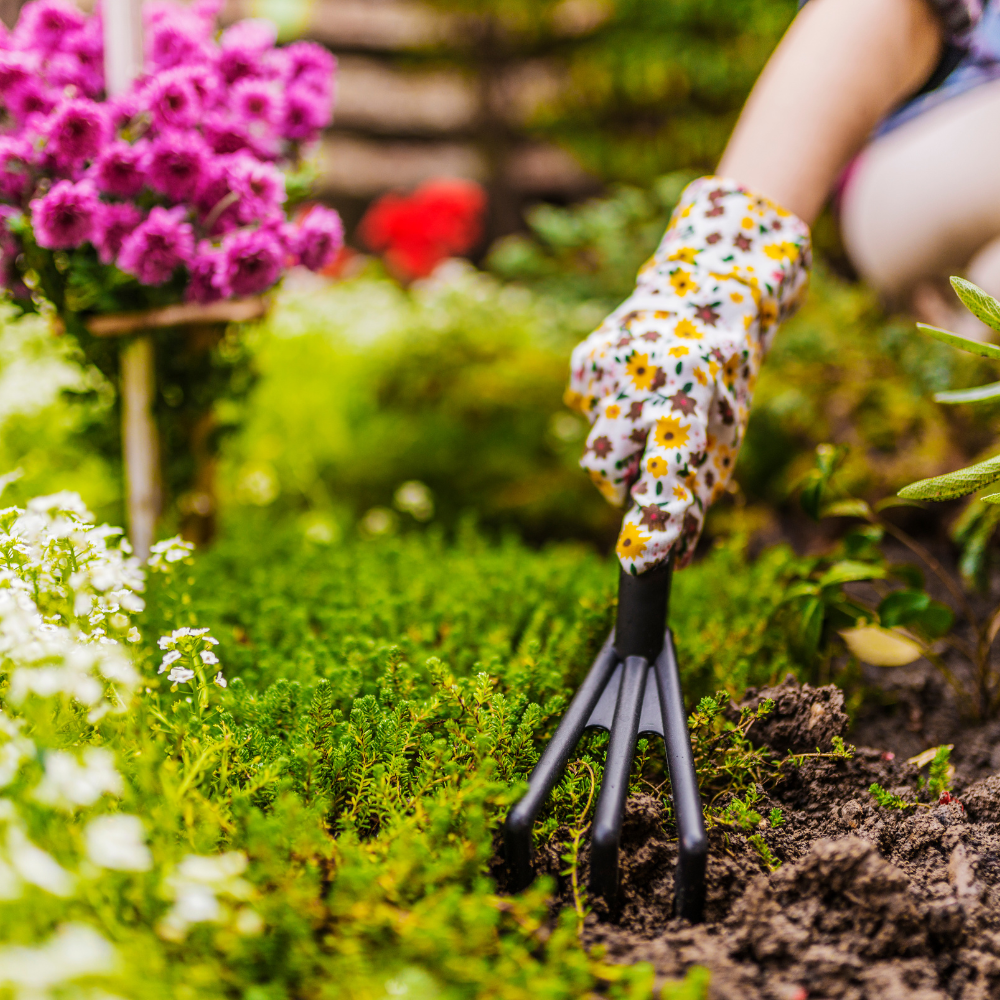 Gardening