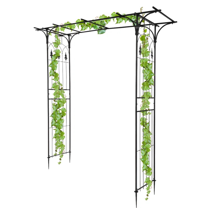 81.1'' W X 16.1'' D Arbor
