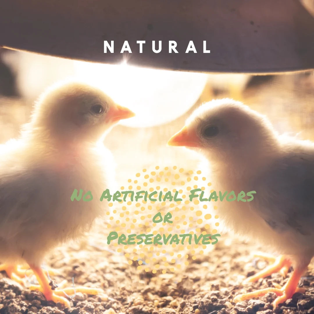 Chick Grit with Probiotics, Digestive Supplement for Young Poultry, 5 Lbs