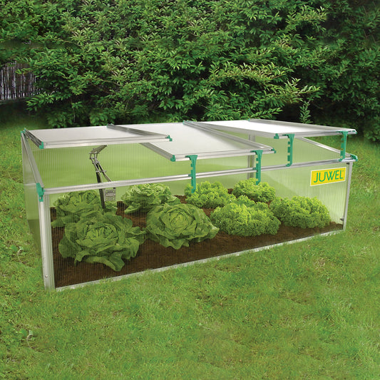 Biostar 1500 Premium Cold Frame Mini-Greenhouse