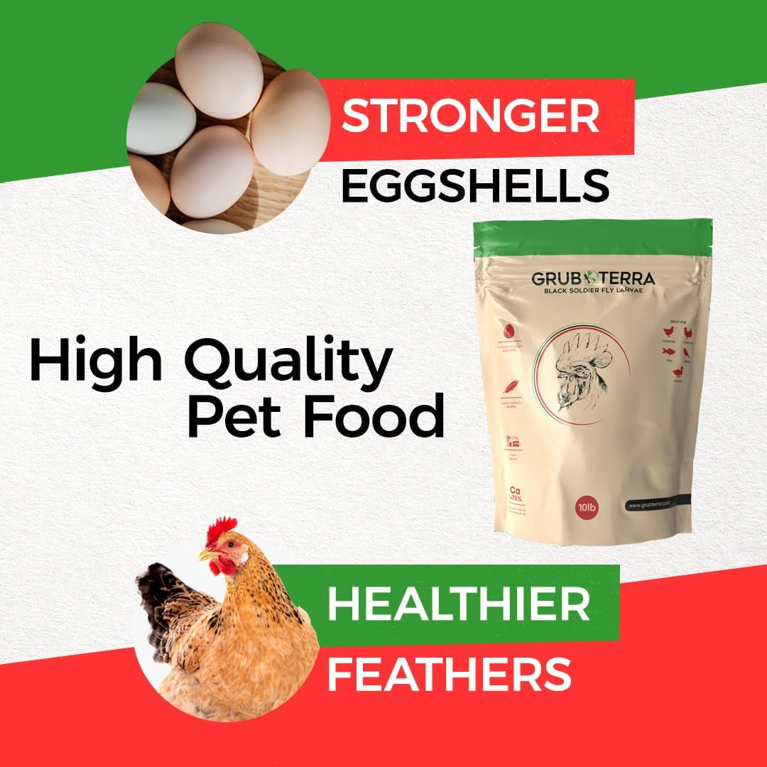 Golden Dried Black Soldier Fly Larvae - Premium Supplement to Increase Egg Production for Chicken Treats, Bird Feed, Wildbird Feeder, Pet Bird Food, and Chicks Feed (1Lb)