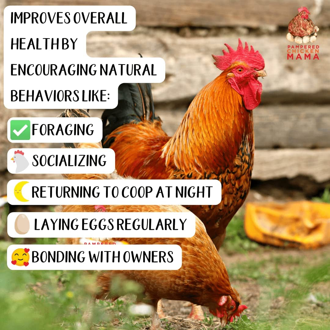 Backyard Chicken High Protein Herbal Treat with Dried River Shrimp, Black Soldier Fly Larvae, Mealworms, Basil, Hibiscus Flowers, Rose Petals (Powerhen) (4 Pounds)