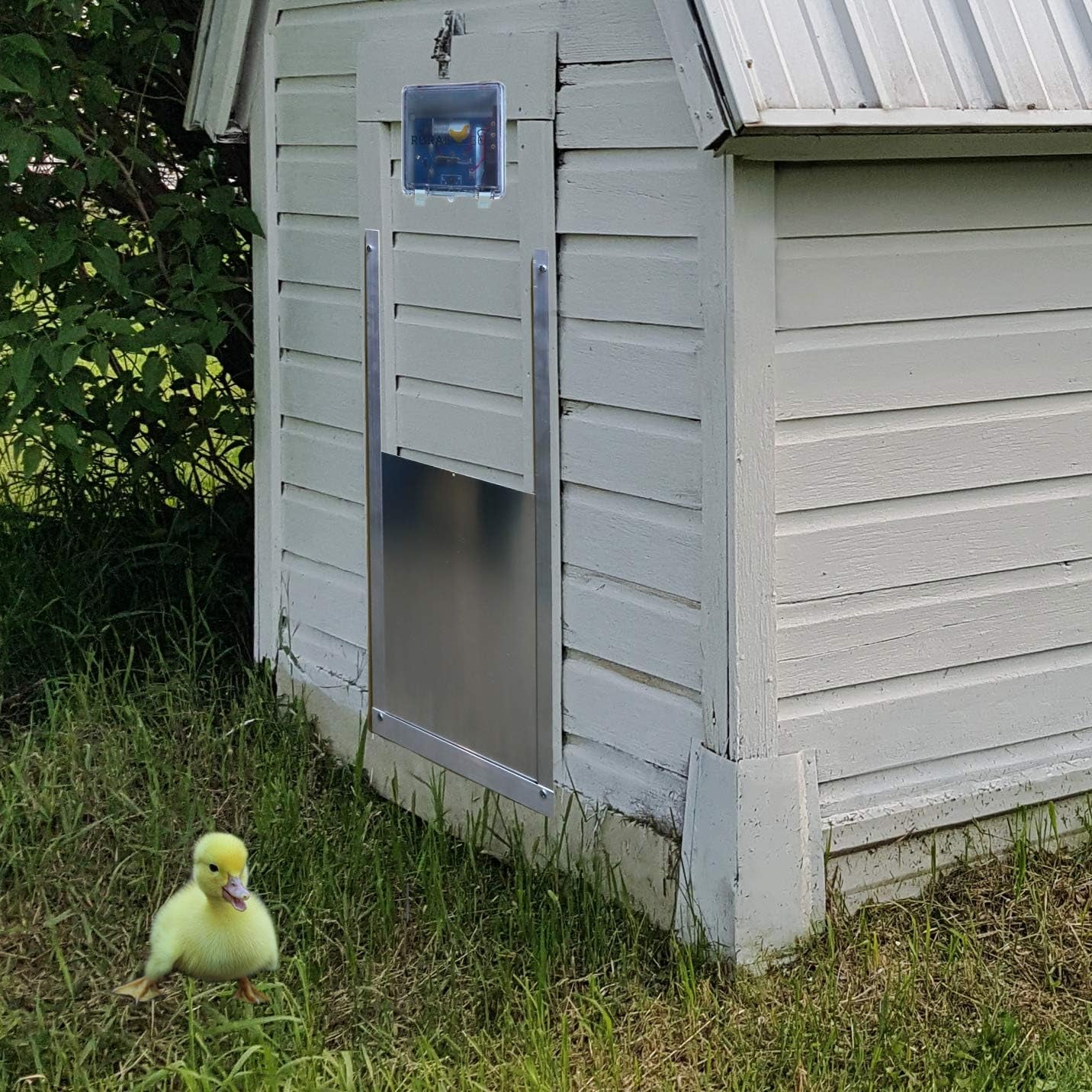 Automatic Chicken Coop Door - Electronic Automated Opener Panel for Chickens, Sliding Door with Light Sensor