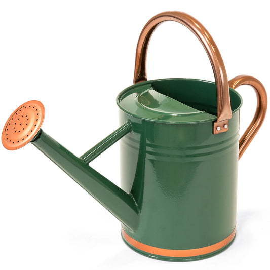 1-Gallon Galvanized Steel Watering Can for Gardening W/ O-Ring, Top Handle, Copper Accents