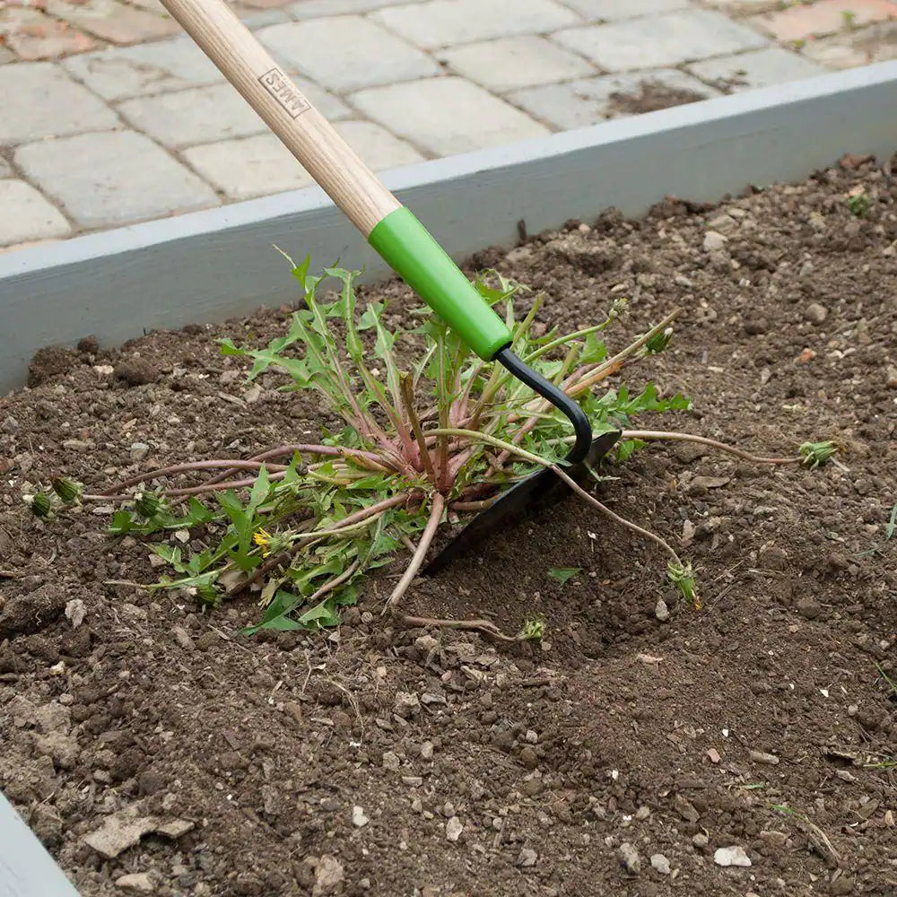 Welded Garden Hoe