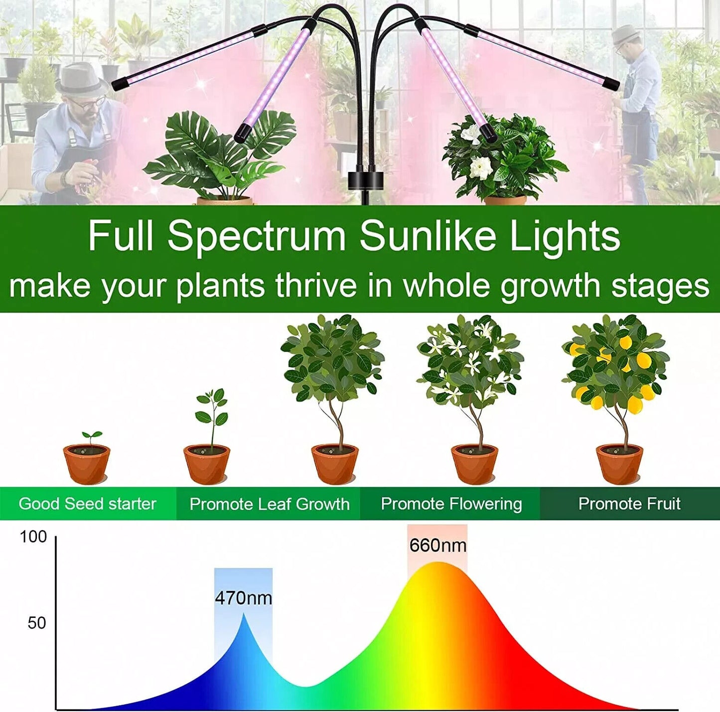 Remote Control 4 Heads LED Grow Light Plant Growing Lamp Light for Indoor Plants