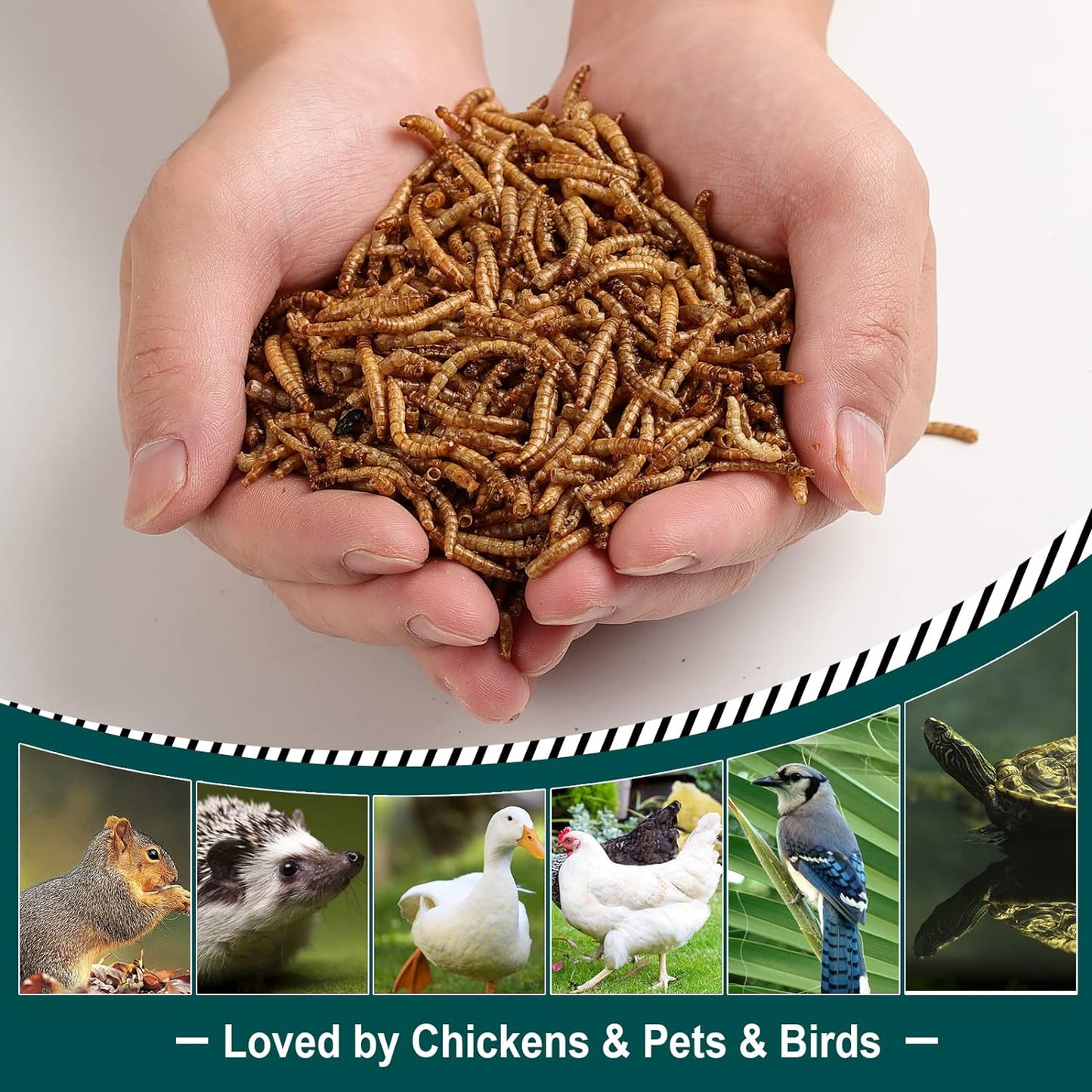44LBS Dried Mealworms for Chickens, 100% Natural Premium Quality Non-Gmo, Treats for Poultry, Chickens, Ducks and Geese