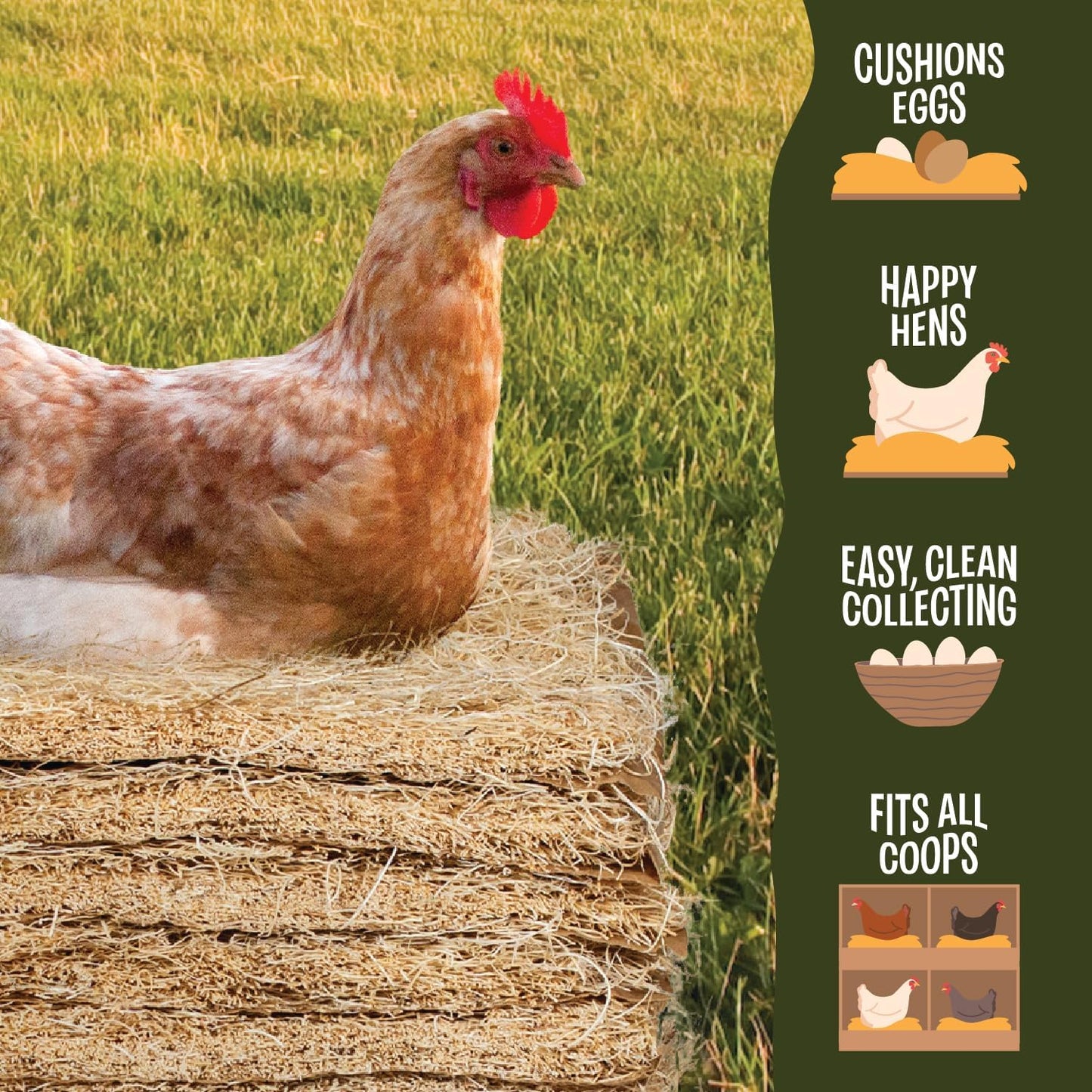 Premium Aspen 12 Pack Excelsior Nesting Liners (12 Pack), Chicken Bedding for Nesting Box, Nesting Pads Box Liners, Chicken Bedding for Coop, Chick Bedding, USA Grown & Sustainably Harvested