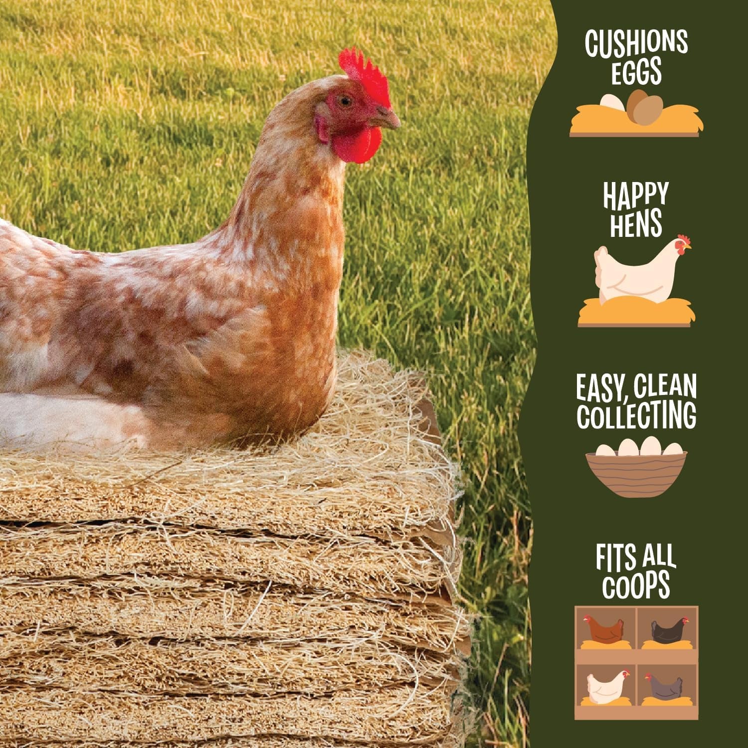 Premium Aspen 12 Pack Excelsior Nesting Liners (12 Pack), Chicken Bedding for Nesting Box, Nesting Pads Box Liners, Chicken Bedding for Coop, Chick Bedding, USA Grown & Sustainably Harvested