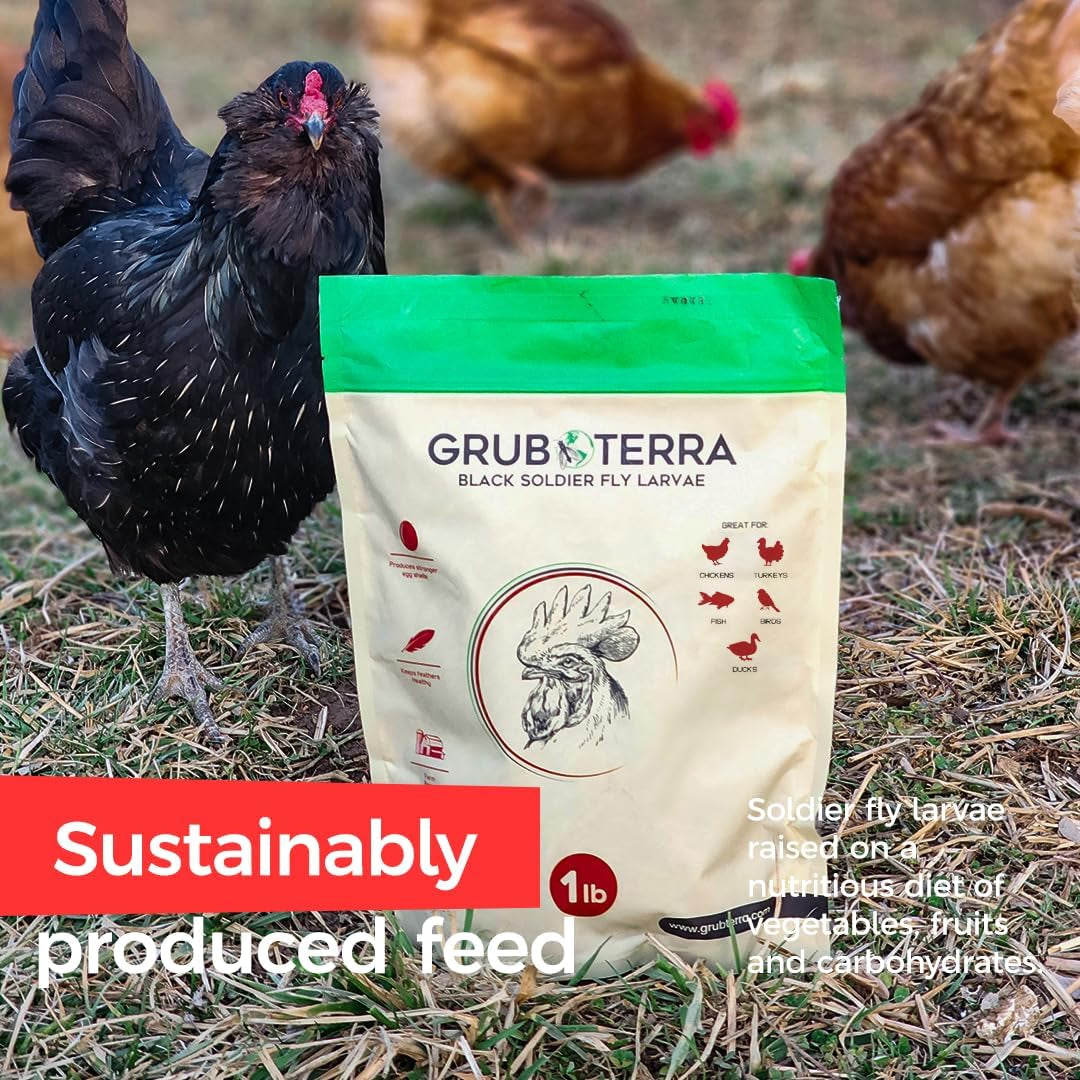 Golden Dried Black Soldier Fly Larvae - Premium Supplement to Increase Egg Production for Chicken Treats, Bird Feed, Wildbird Feeder, Pet Bird Food, and Chicks Feed (1Lb)
