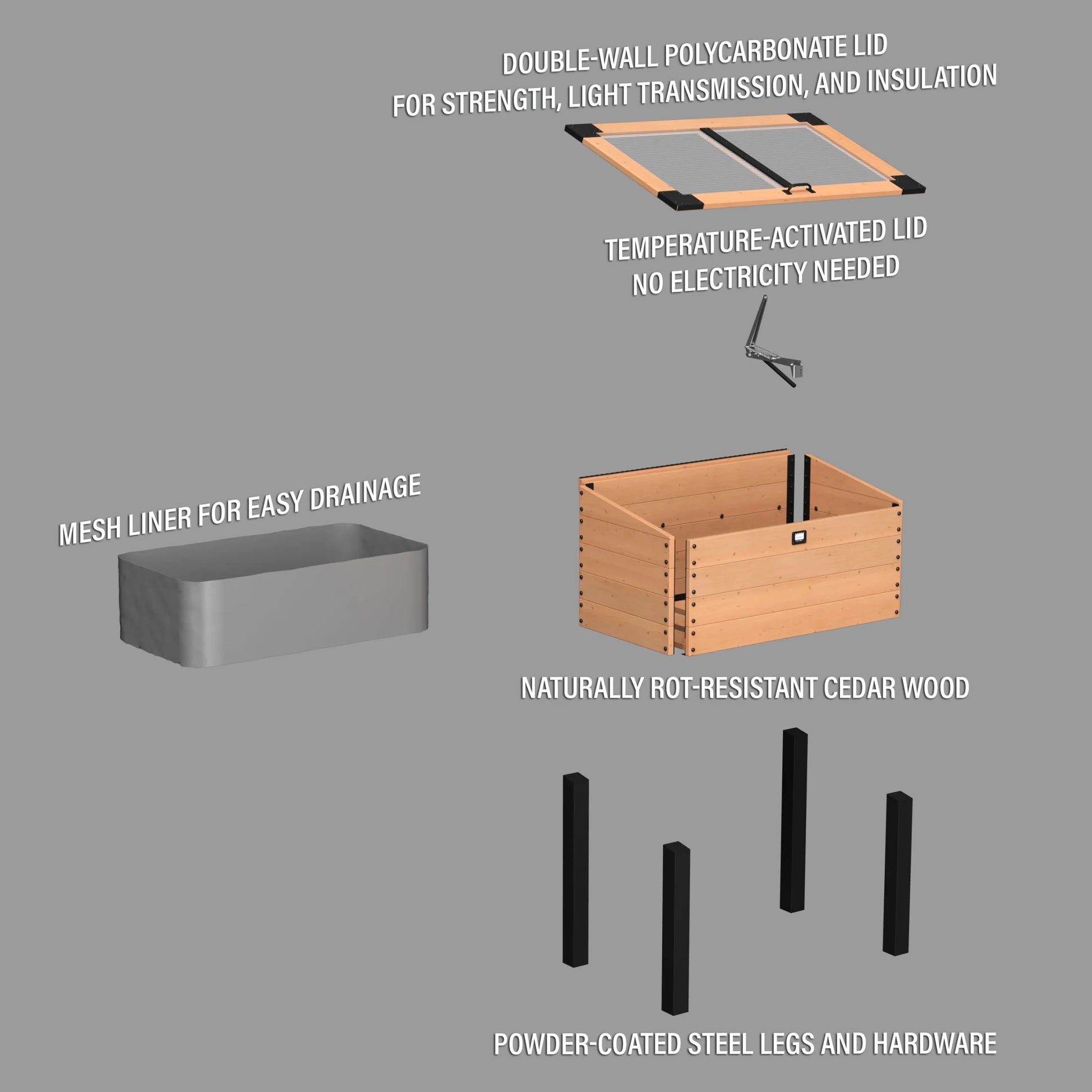 Aggie 4X2' Cedar Wood Cold Frame Mini Greenhouse, Polycarbonate Lid