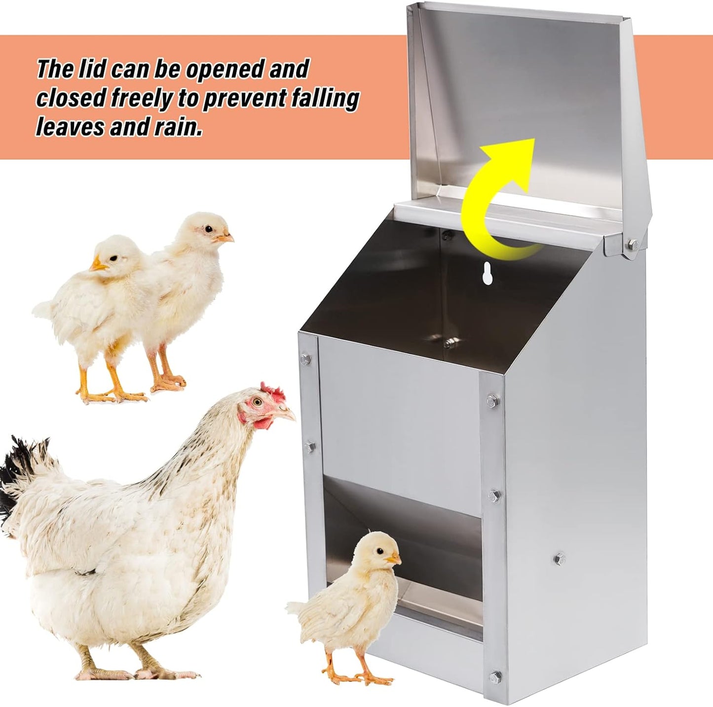 Stainless Steel Wall Mounted Chicken Feeder Hanging Automatic Poultry Feeder Wit