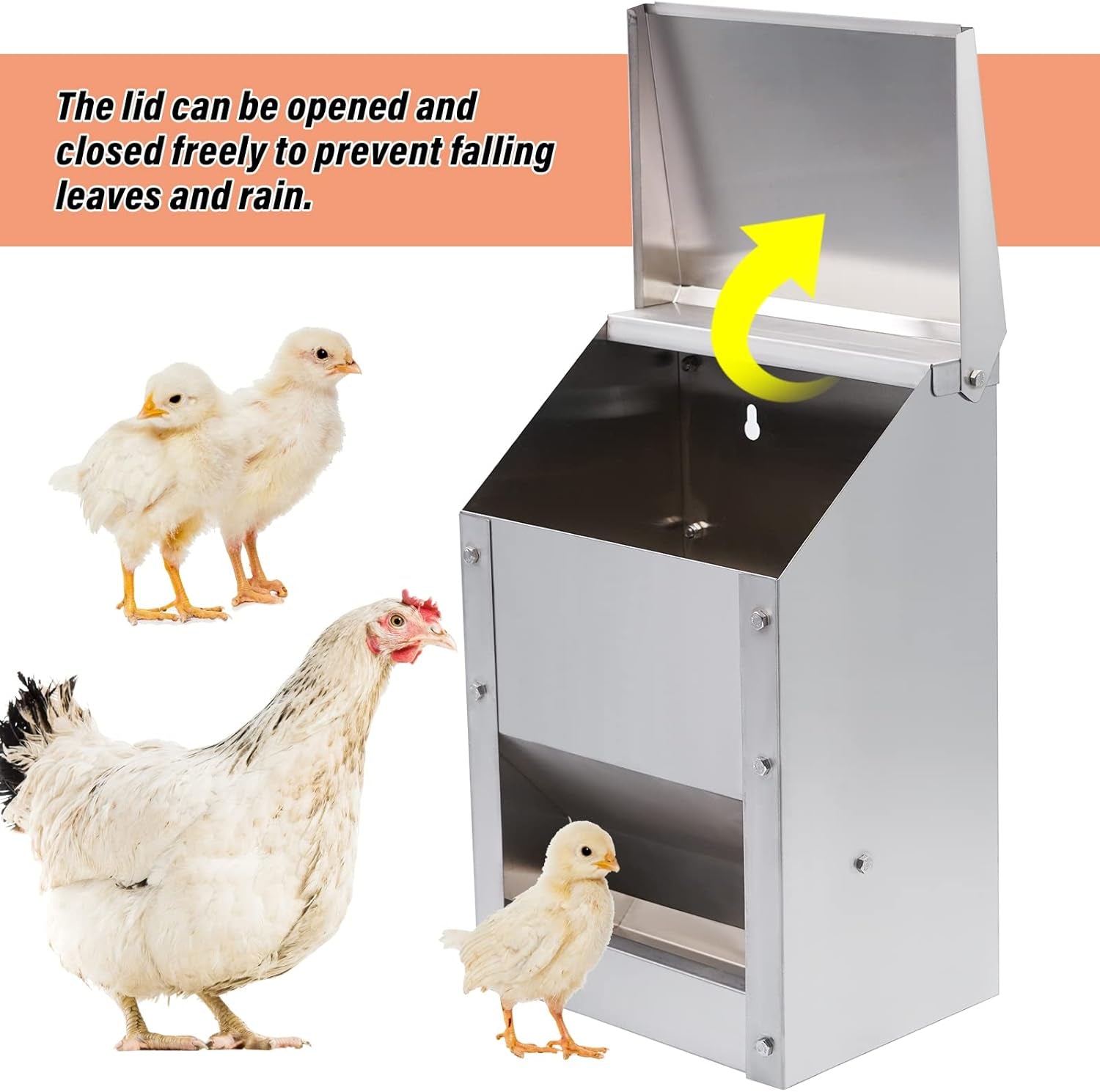 Stainless Steel Wall Mounted Chicken Feeder Hanging Automatic Poultry Feeder Wit