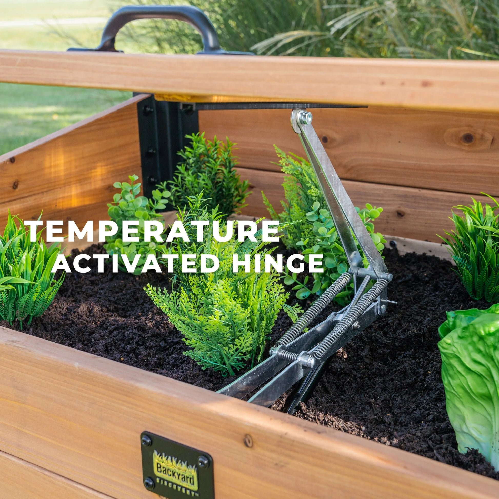 Aggie 4X2' Cedar Wood Cold Frame Mini Greenhouse, Polycarbonate Lid