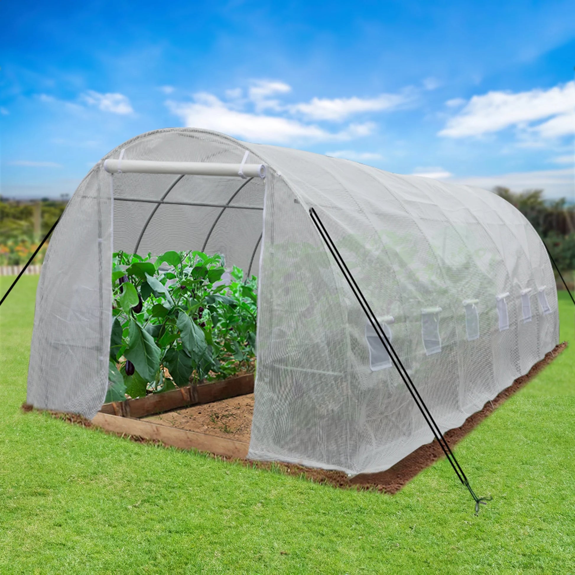 20'X10'X7' Heavy Duty Greenhouses Large Walk-In Greenhouse Tunnel Green Houses Outdoor Gardening Upgraded Galvanized Steel Stake Ropes Zipper Door 7 Crossbars Garden, White