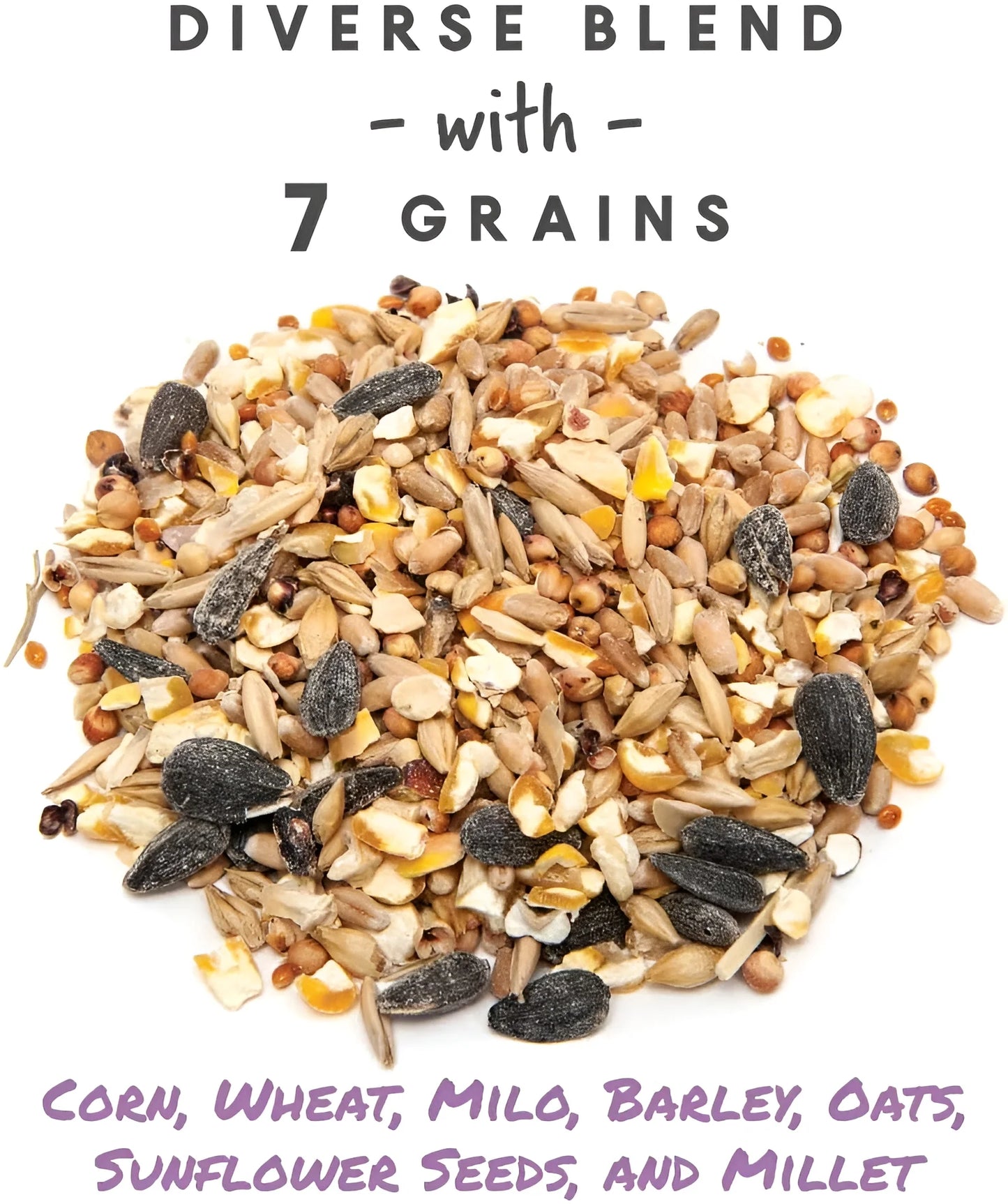 7-Grain Ultimate Scratch, Purple Corn Chicken Feed, 10 Lbs