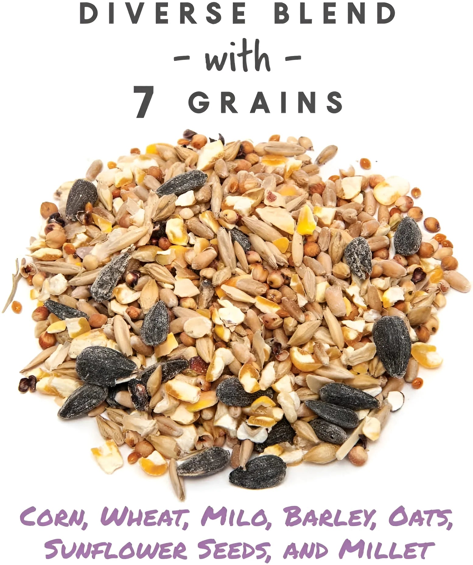 7-Grain Ultimate Scratch, Purple Corn Chicken Feed, 10 Lbs