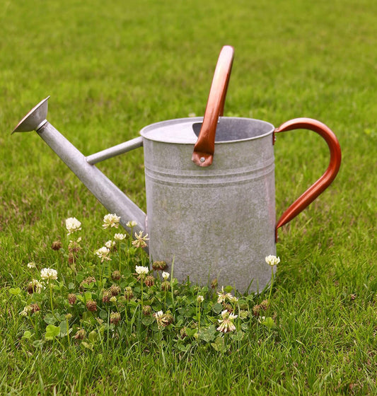 Watering Can for Outdoor Plants,Rustic Metal Plant Watering Can with Copper Handles,1 Gallon Galvanized Steel Gardening Tool,Vintage Silver Color