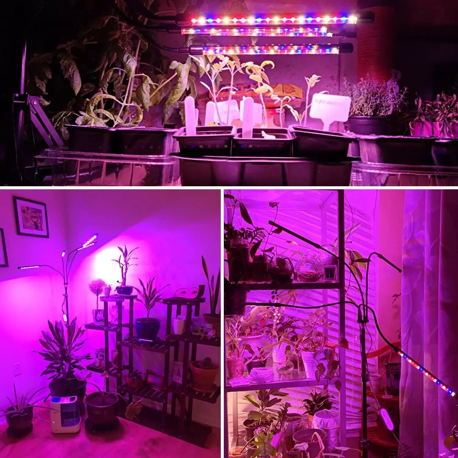 Remote Control 4 Heads LED Grow Light Plant Growing Lamp Light for Indoor Plants