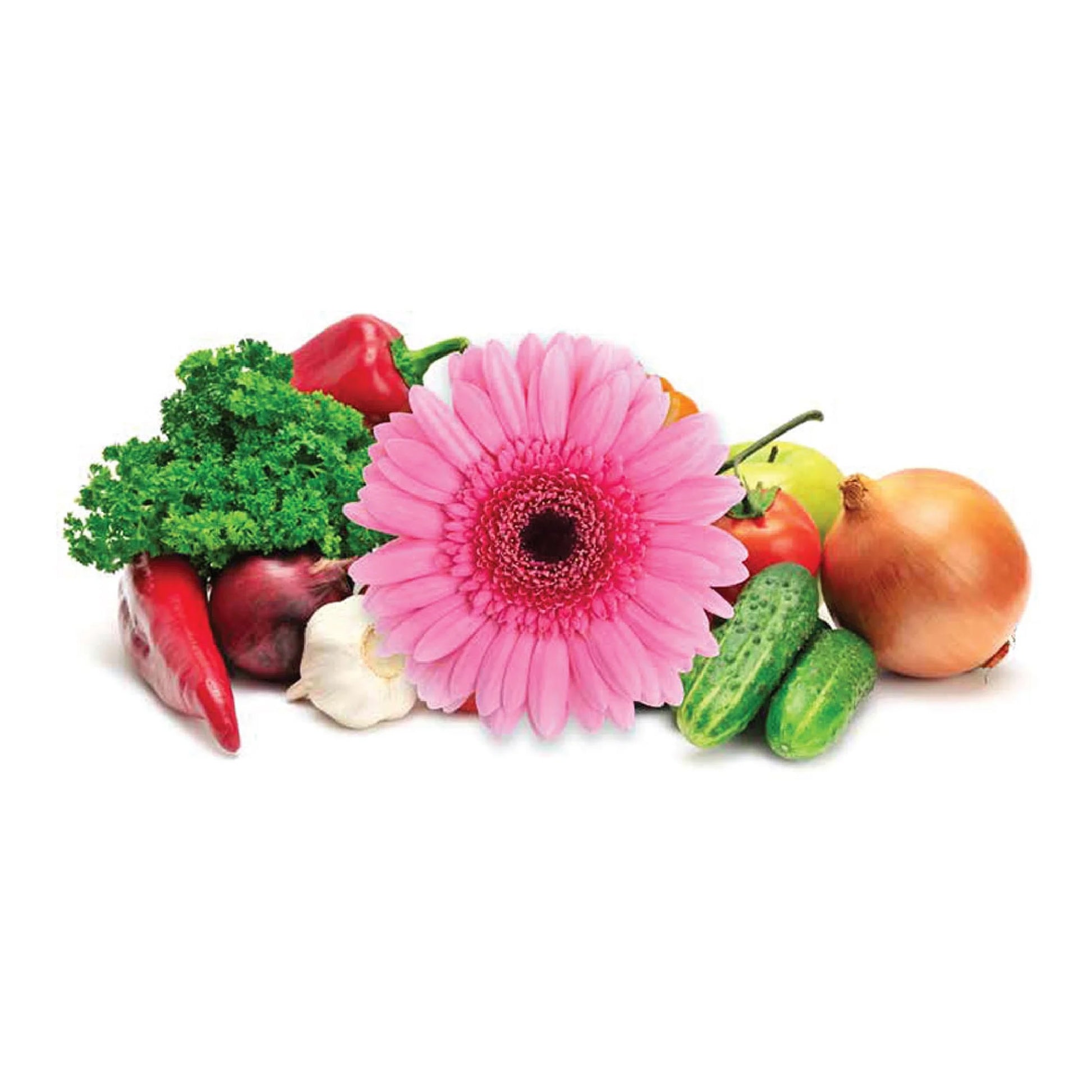 Organics All-Purpose Plant Food, 8 Lb Fertilizer