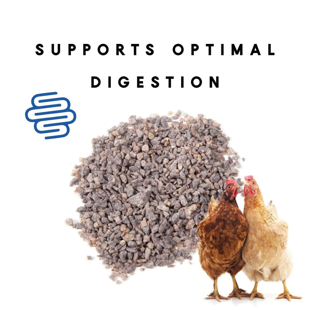 Manna Pro Chicken Supplies | Chicken Grit, Grit for Chicken Food | 25 Pounds