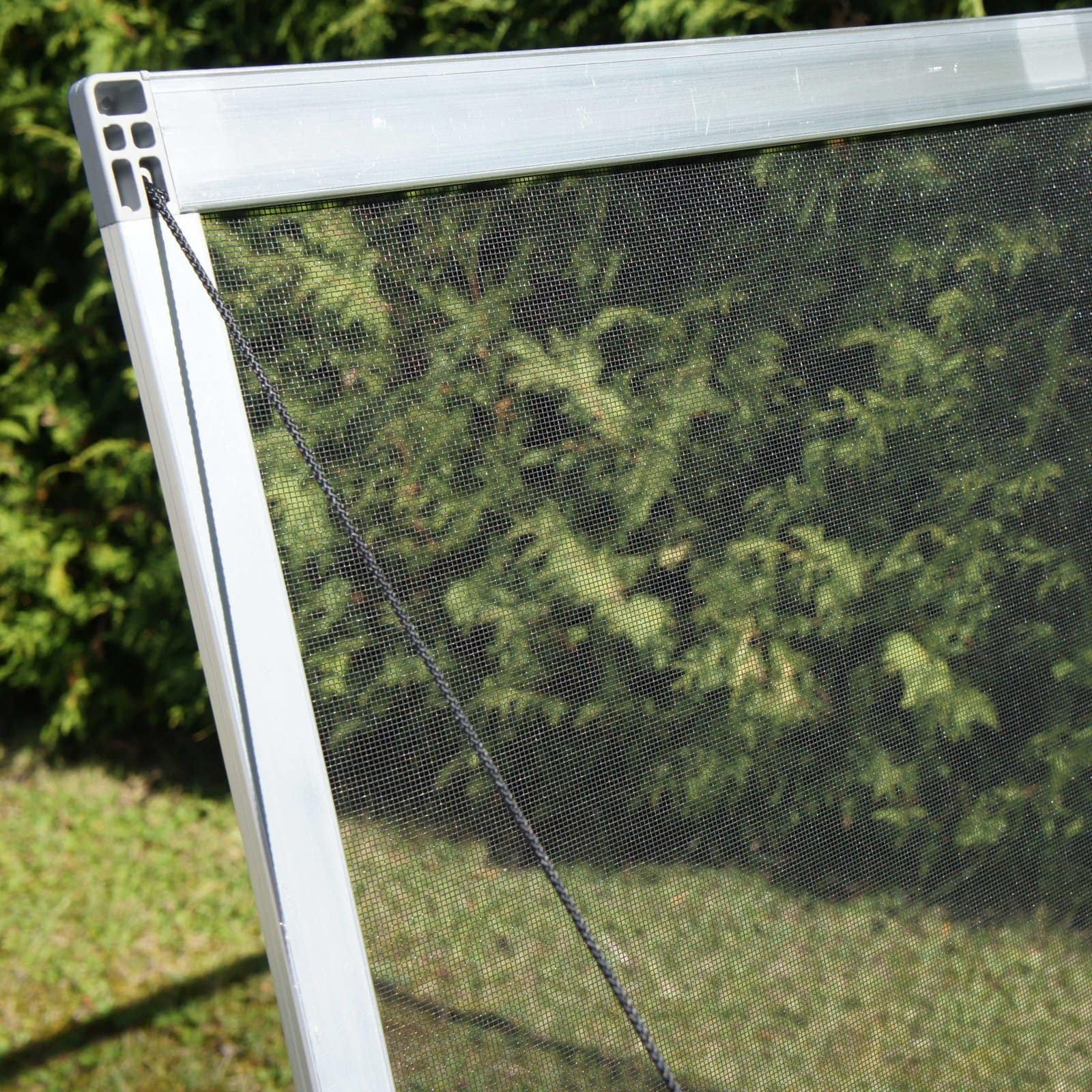 Year-Round Cold-Frame Greenhouse