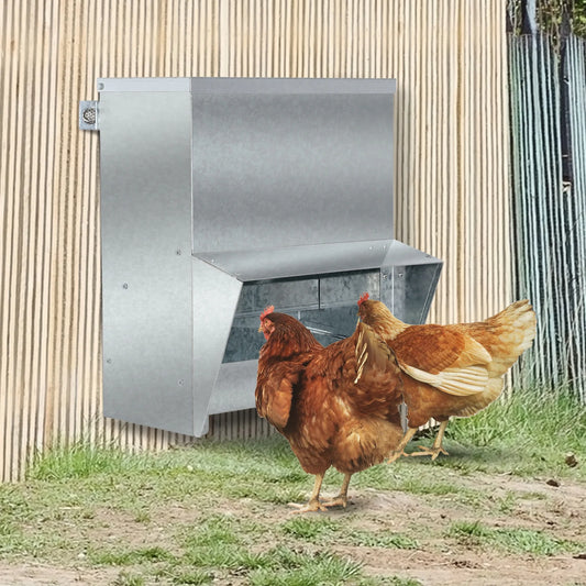 Automatic Chicken Feeder, No-Waste Poultry Feeder with Protective Lid for up to 4 Chickens, Holds 13 L of Feed