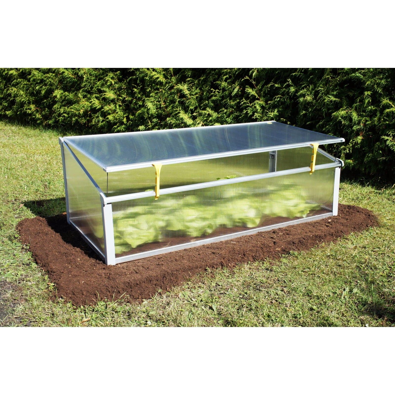 Year-Round Cold-Frame Greenhouse