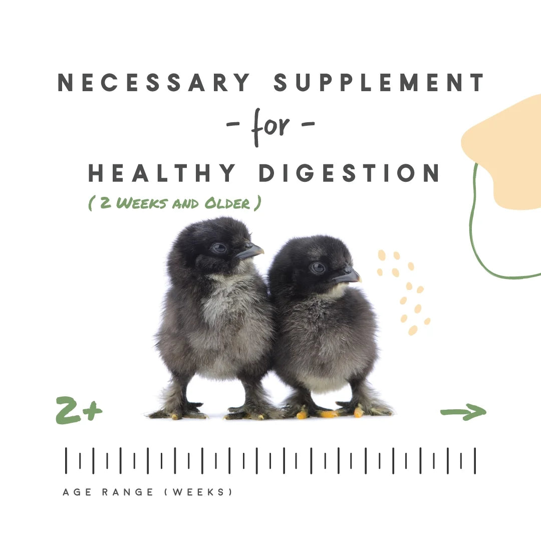 Chick Grit with Probiotics, Digestive Supplement for Young Poultry, 5 Lbs