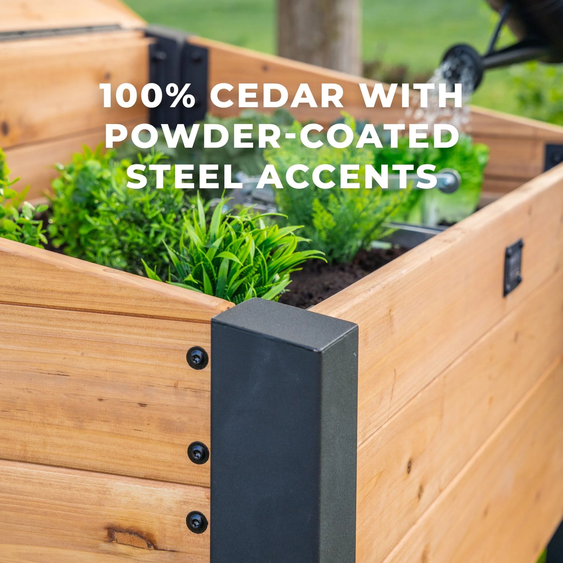 Aggie 4X2' Cedar Wood Cold Frame Mini Greenhouse, Polycarbonate Lid