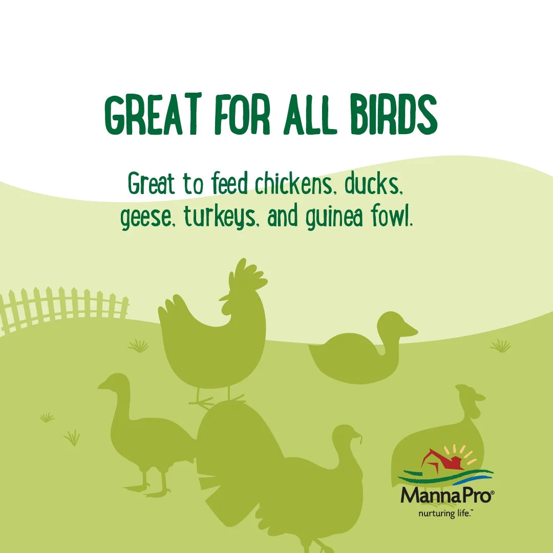 (2 Pack)  Farmhouse Favorites Mealworm Coop Cakes for Chickens, Ducks and Geese - 3Pk