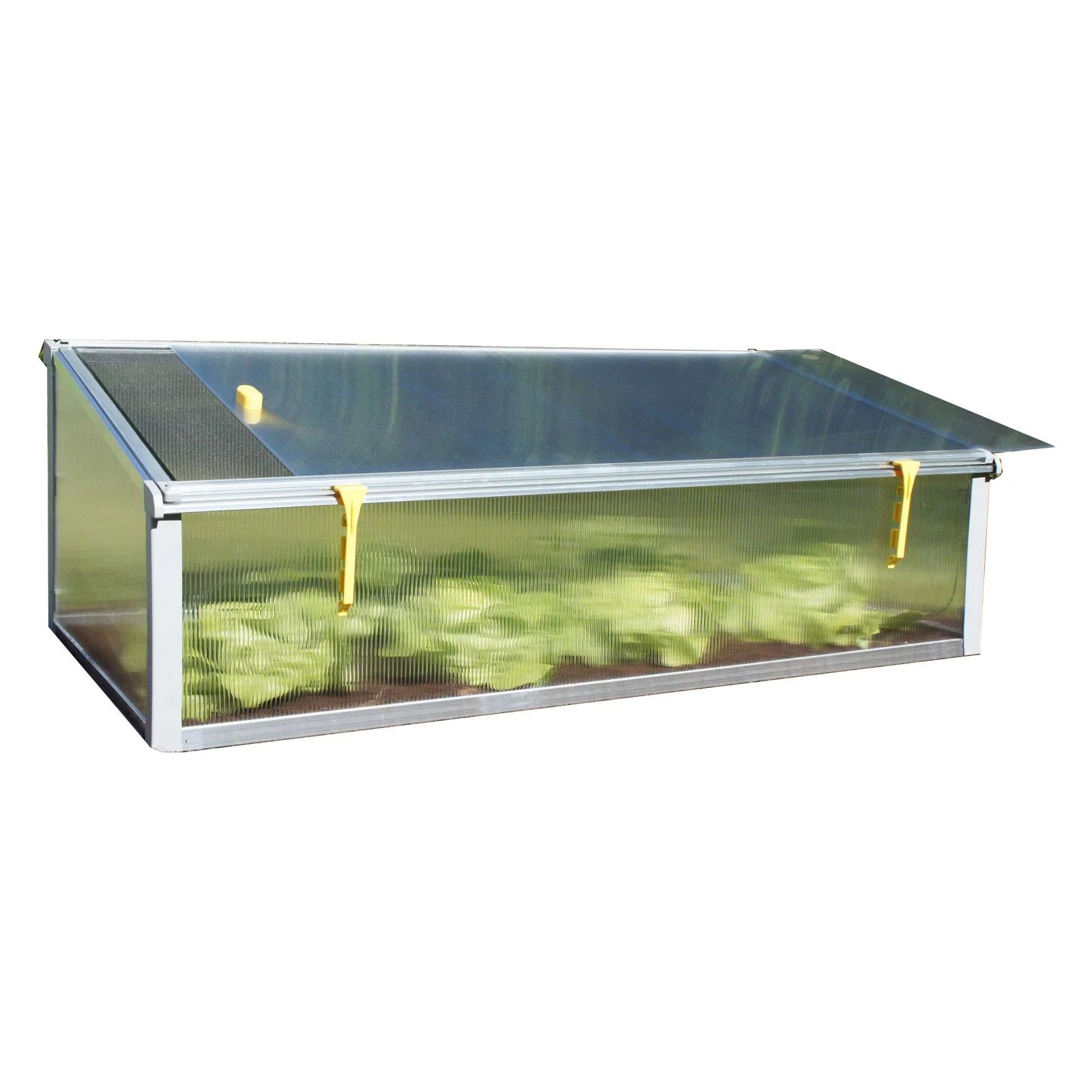 Year-Round Cold-Frame Greenhouse