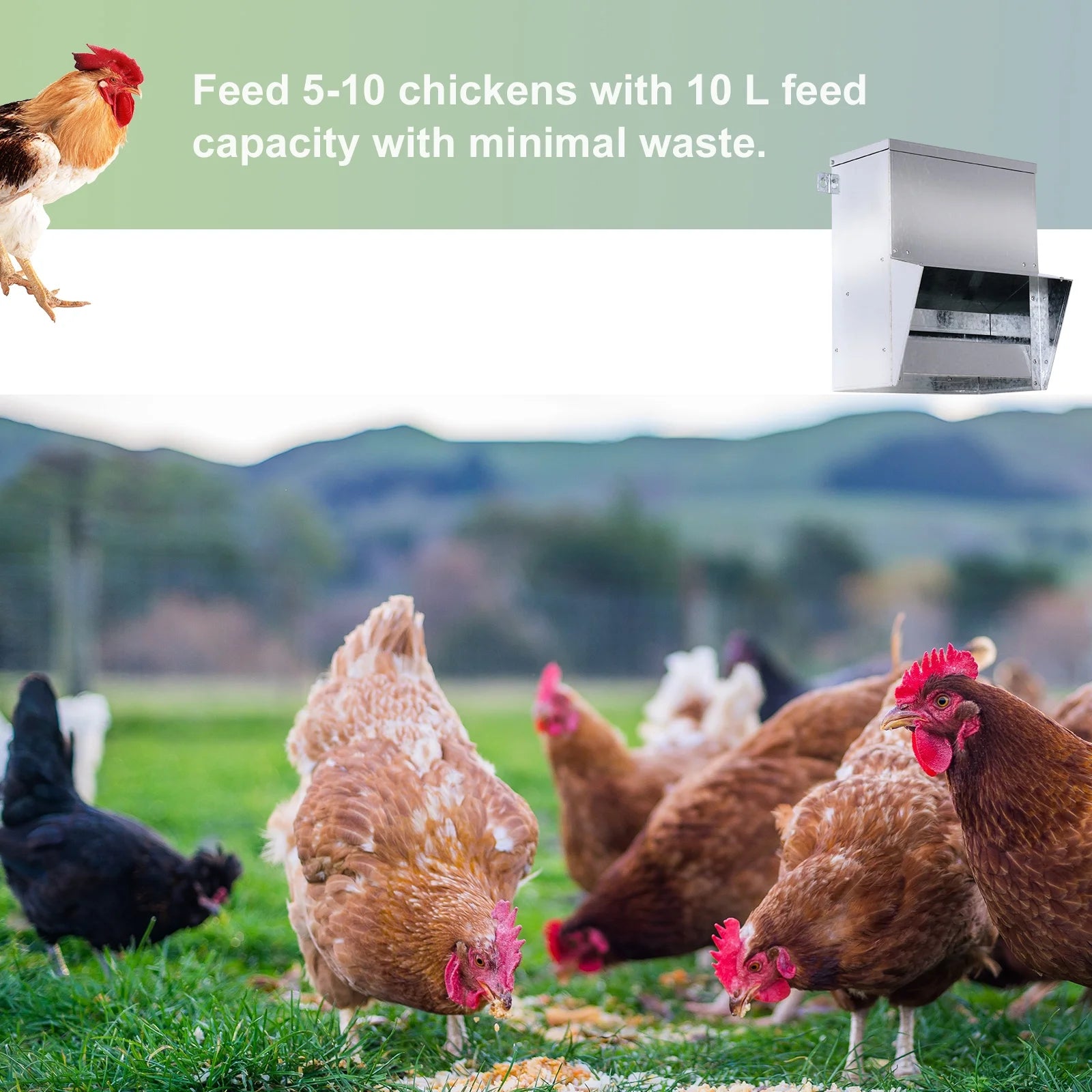 Automatic Chicken Feeder, No-Waste Poultry Feeder with Protective Lid for up to 4 Chickens, Holds 13 L of Feed