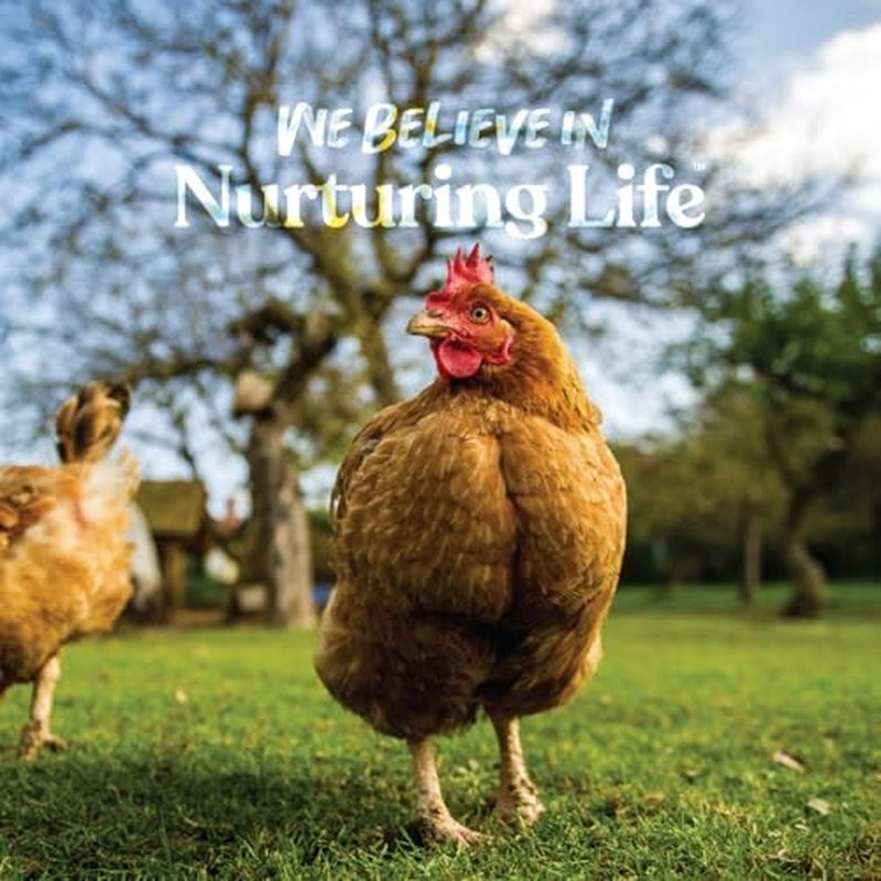 Manna Pro Chicken Supplies | Chicken Grit, Grit for Chicken Food | 25 Pounds