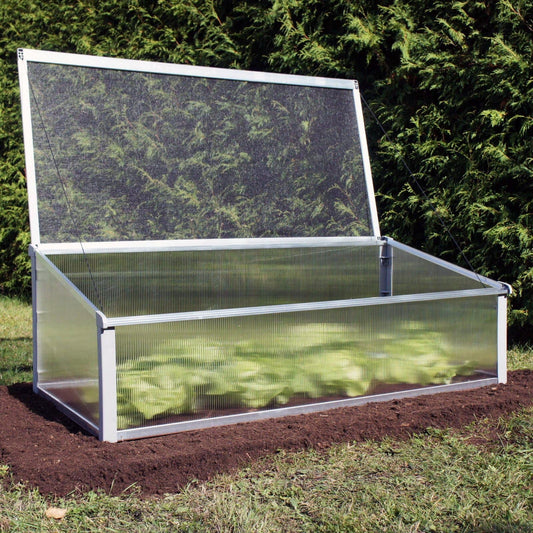 Year-Round Cold-Frame Greenhouse