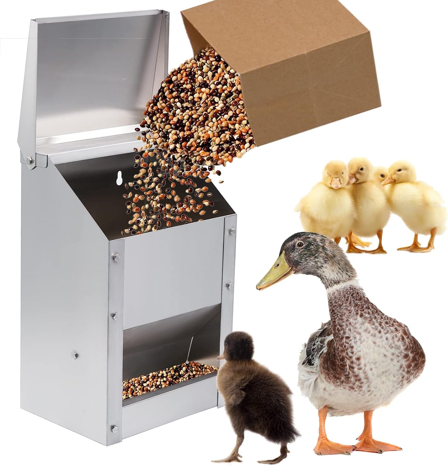 Stainless Steel Wall Mounted Chicken Feeder Hanging Automatic Poultry Feeder Wit