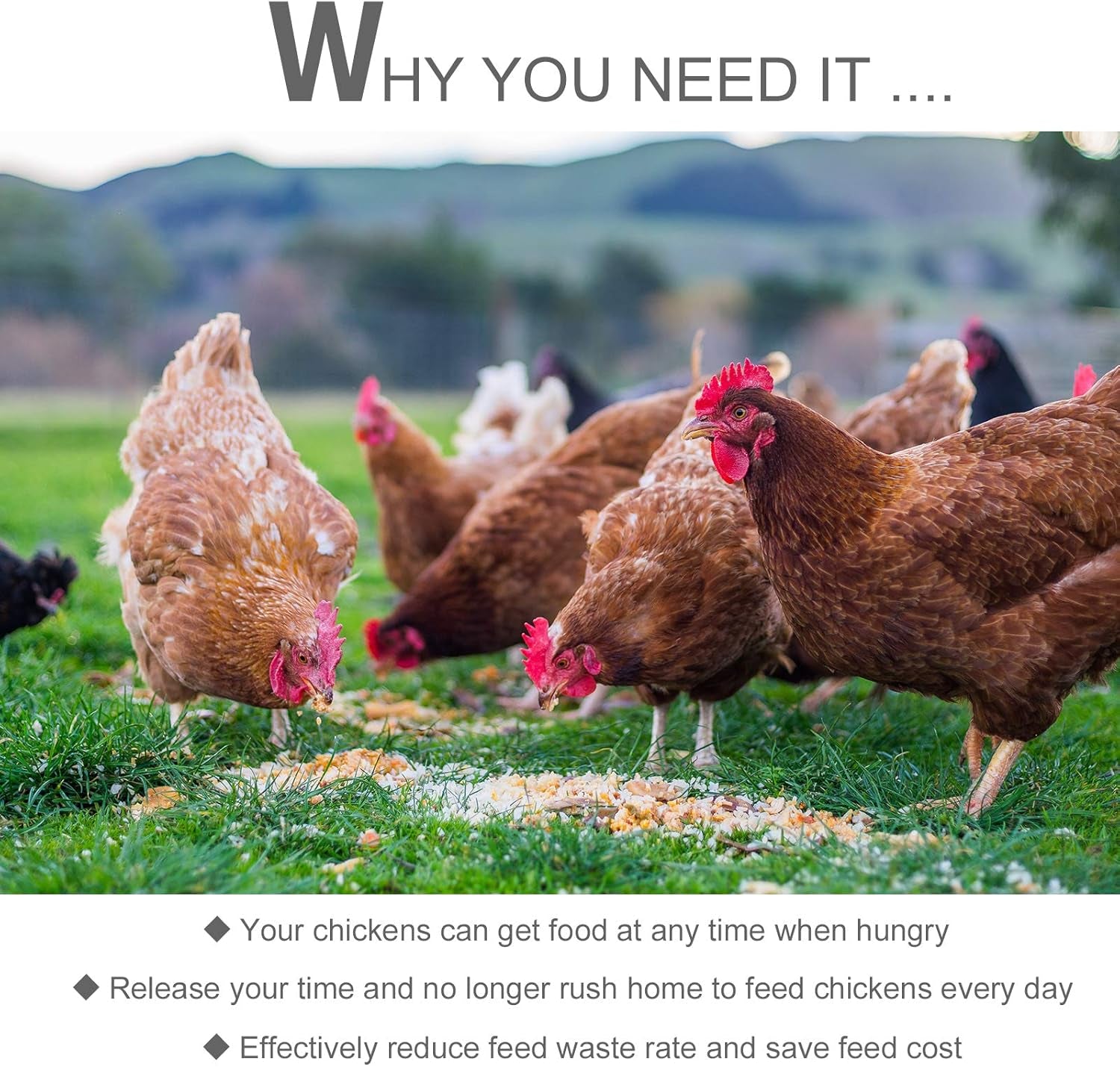 30 Lbs Capacity Automatic Chicken Poultry Feeder with a Galvanized Steel and Aluminium Build, Weatherproof Design
