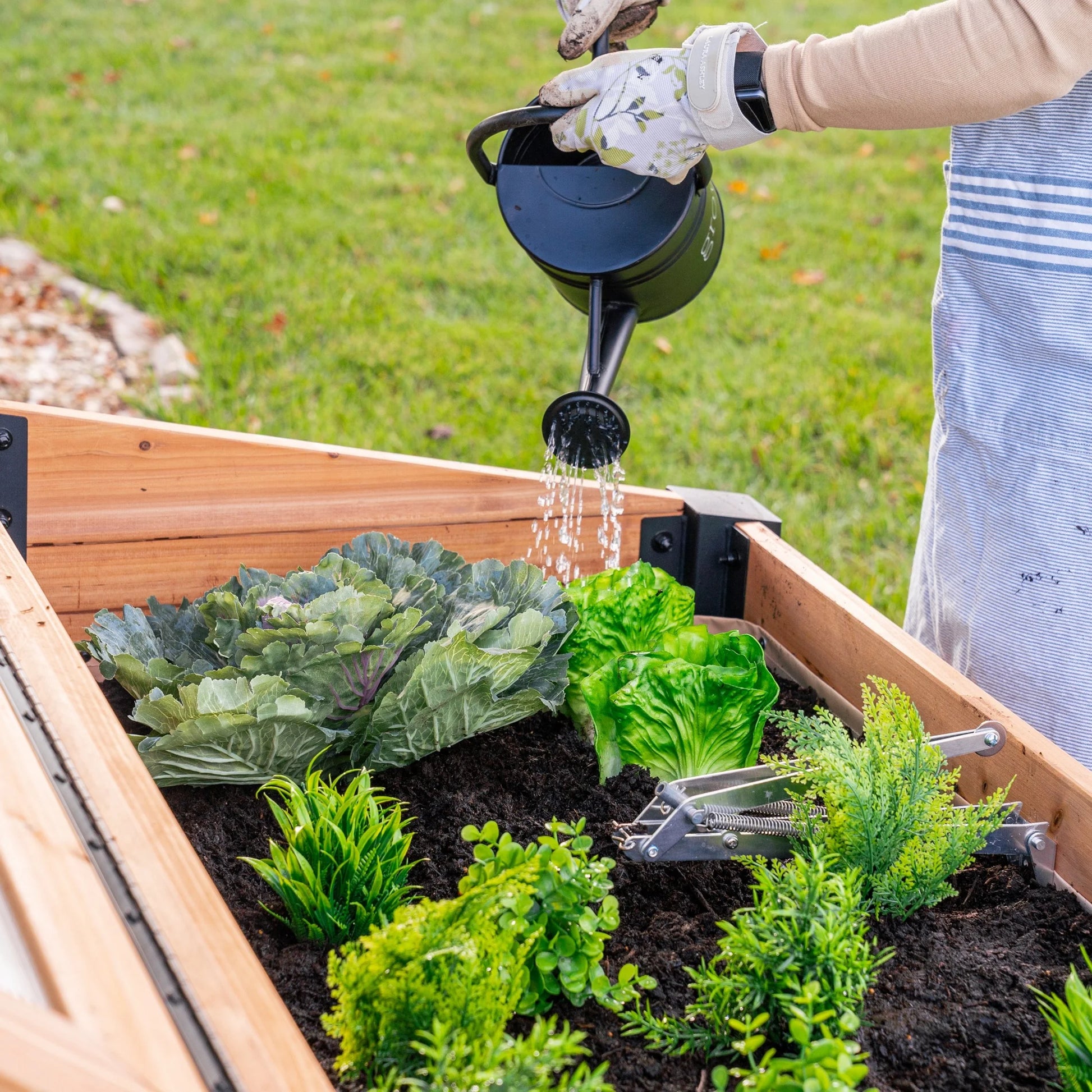 Aggie 4X2' Cedar Wood Cold Frame Mini Greenhouse, Polycarbonate Lid
