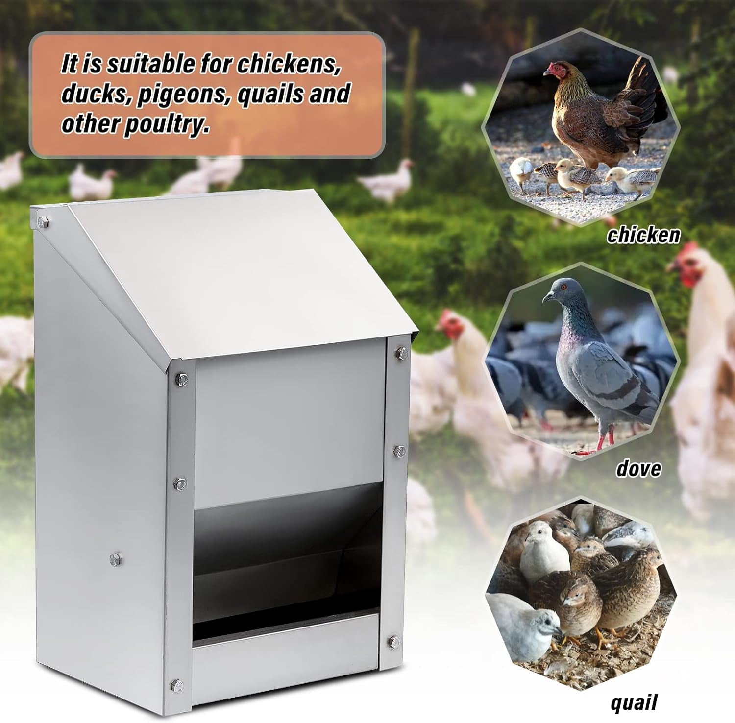 Stainless Steel Wall Mounted Chicken Feeder Hanging Automatic Poultry Feeder Wit