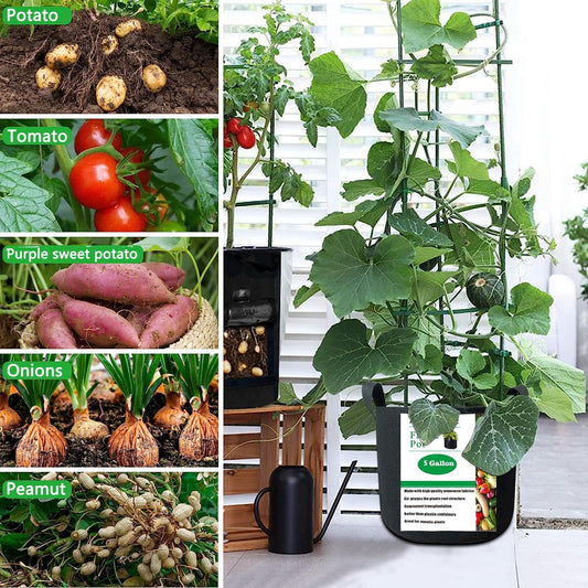 12-Pack 5 Gallon Plant Grow Bags Heavy Duty Thickened Nonwoven Fabric Pots with Handles