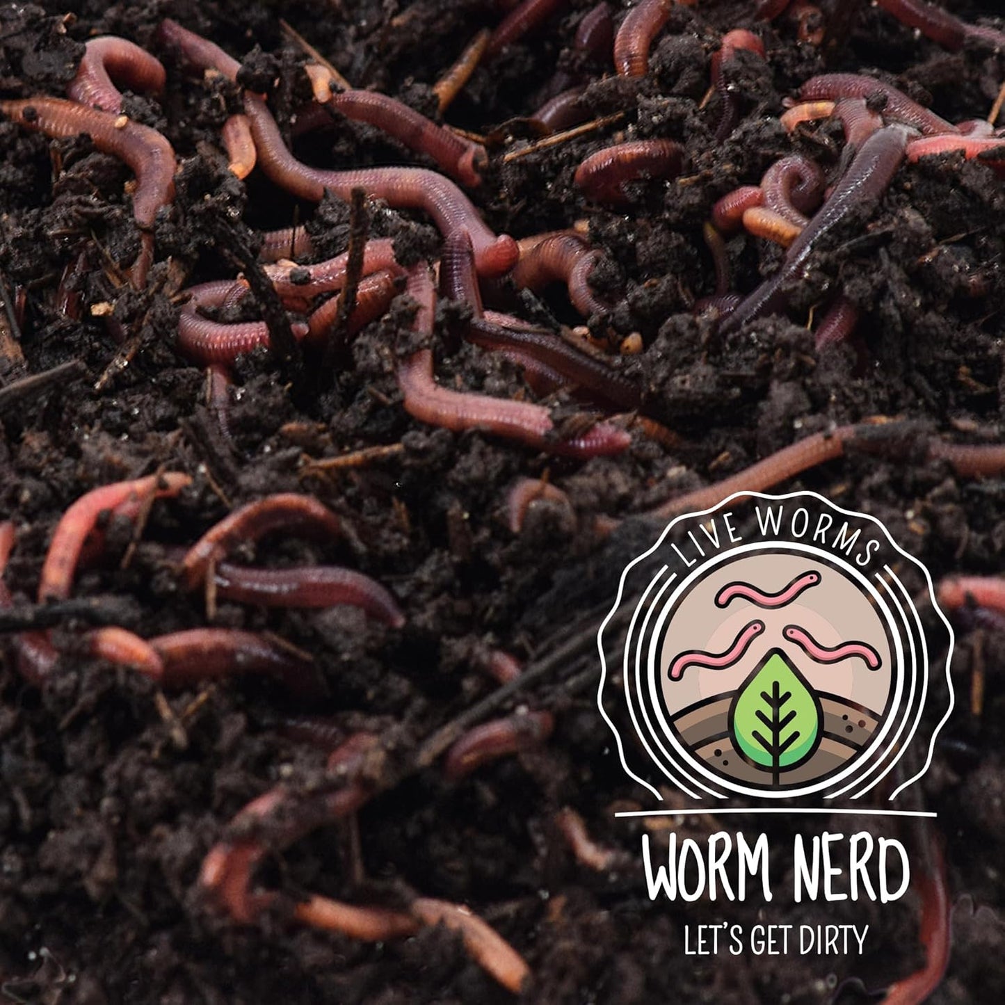 Composting Worms – Live Red Wriggler Compost Worms Mix – Sustainable Compost Worms Live for Organic Materials - Worm Composting Set for Better Soil Structure 100 Worms *CANNOT SHIP to HAWAII