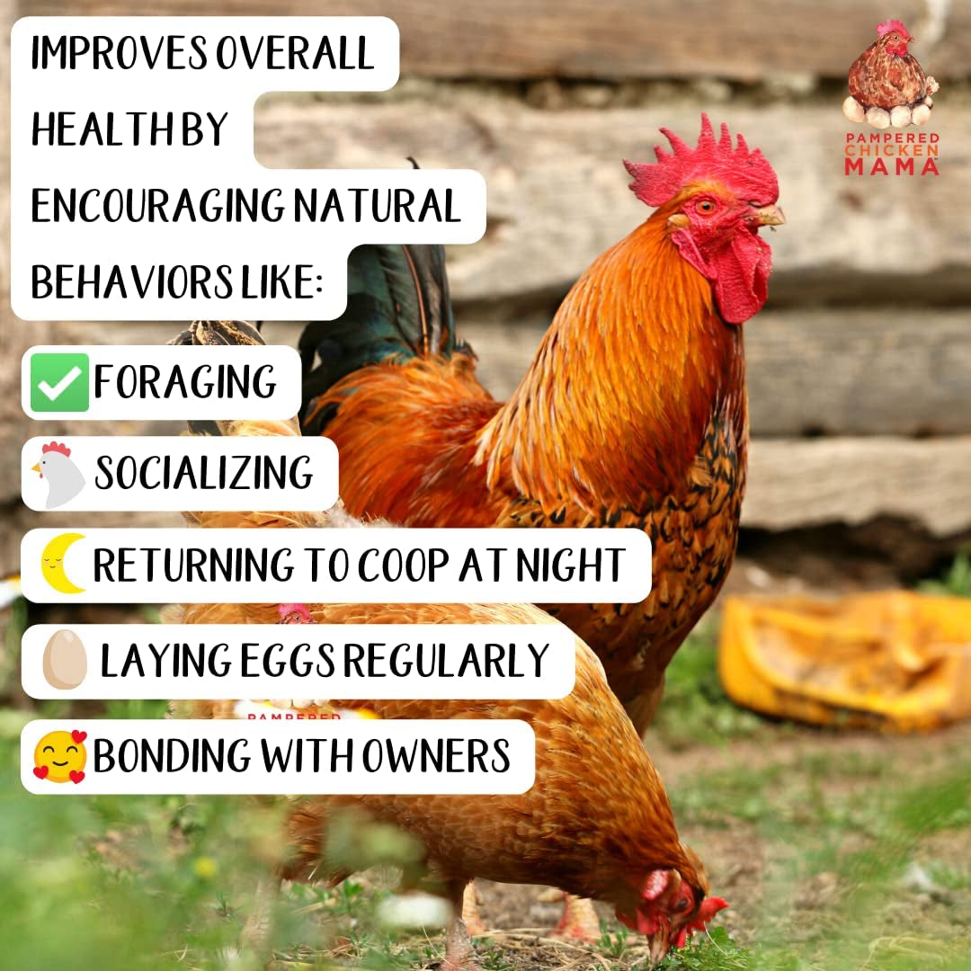 Egg-Cellent Yolks: Organic Chicken Feed Supplement & Duck Food for Golden Yolks (2.5 Pounds)