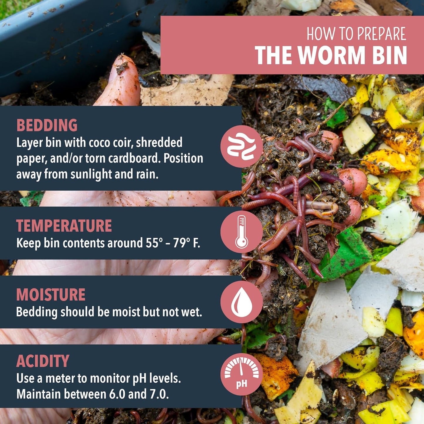 Composting Worms – Live Red Wriggler Compost Worms Mix – Sustainable Compost Worms Live for Organic Materials - Worm Composting Set for Better Soil Structure 100 Worms *CANNOT SHIP to HAWAII
