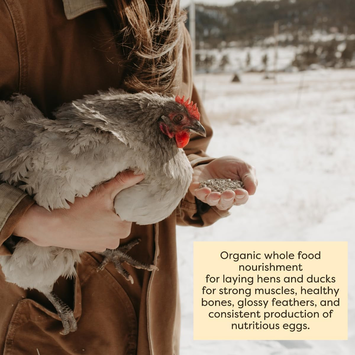 Scratch and Peck Whole Grain Layer Pellets Chicken and Duck Feed - 25 Lbs Bag - Corn-Free and Soy-Free - 16% Protein, Certified Organic and Non-Gmo Project Verified Chicken Food