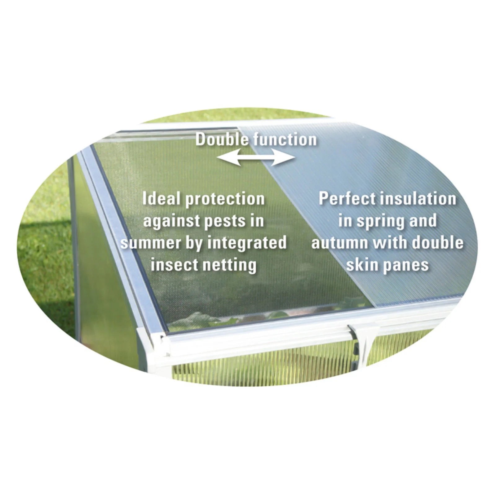 Year-Round Cold-Frame Greenhouse