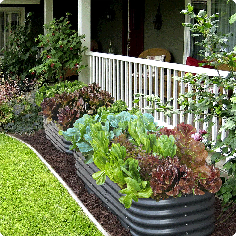 Raised beds + planters