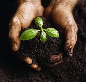 Soil amendments