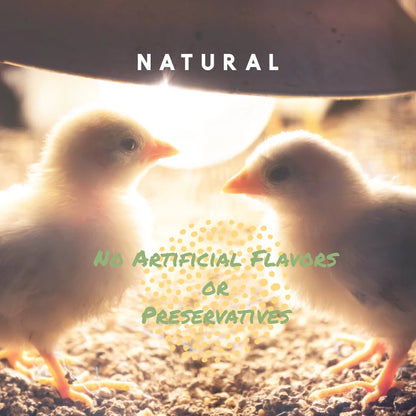 Chick Grit with Probiotics, Digestive Supplement for Young Poultry, 5 Lbs