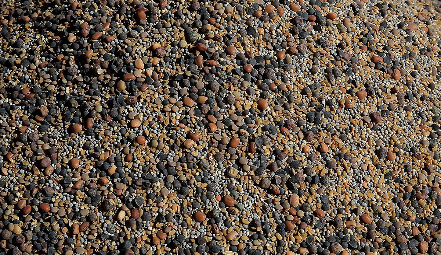 No-Till Cover Crop 13-Seed Mix (½-Lb): [50% Clovers plus Fenugreek, Vetch, Flax, Cowpeas, Buckwheat, Forage Peas, Millet, Lentils, Crimson Clover, Sweet Yellow Clover, White Clover, Medium Red Clover]