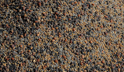 No-Till Cover Crop 13-Seed Mix (½-Lb): [50% Clovers plus Fenugreek, Vetch, Flax, Cowpeas, Buckwheat, Forage Peas, Millet, Lentils, Crimson Clover, Sweet Yellow Clover, White Clover, Medium Red Clover]